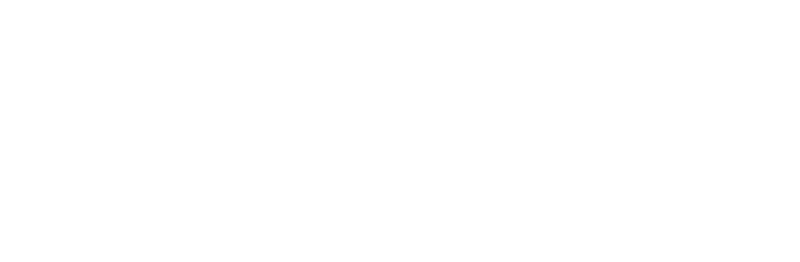 Drivonic Logo