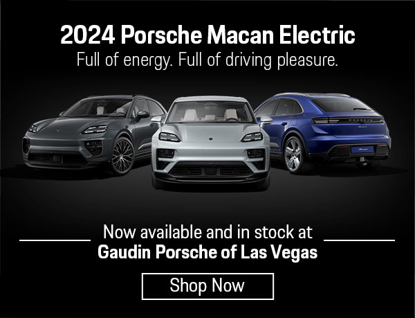 Gaudin Porsche