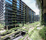 McKenna Reeves Homes